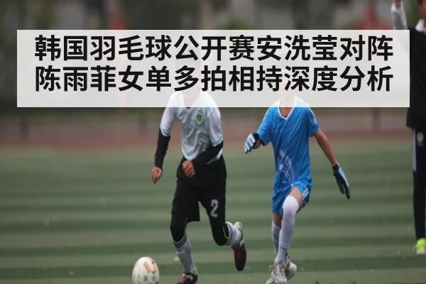 韩国羽毛球公开赛安洗莹对阵陈雨菲女单多拍相持深度分析 | c7c7.app