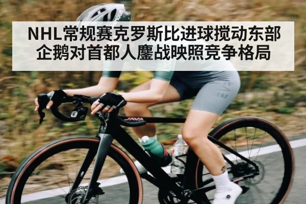 NHL常规赛克罗斯比进球搅动东部 企鹅对首都人鏖战映照竞争格局