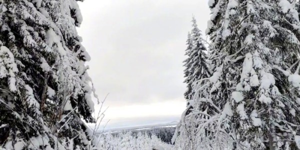 闪耀米兰：北京力量的冰雪传奇之余爽|AC米兰|冬残奥会|冬奥会|尚金财|越野滑雪_新浪体育_新浪新闻